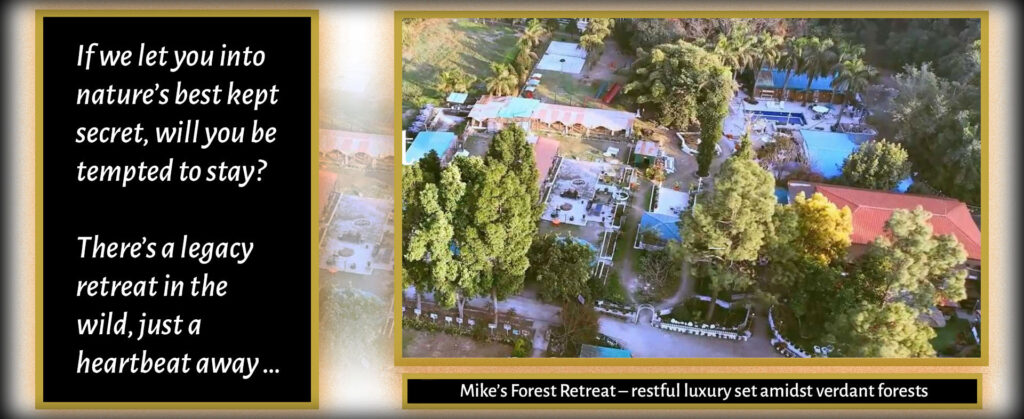 If we let you into nature's best kept secret, will you be tempted to stay? There's a legacy retreat in the wild, just a heartbeat away ... Mike's Forest Retreat - restful luxury set amidst verdant forests