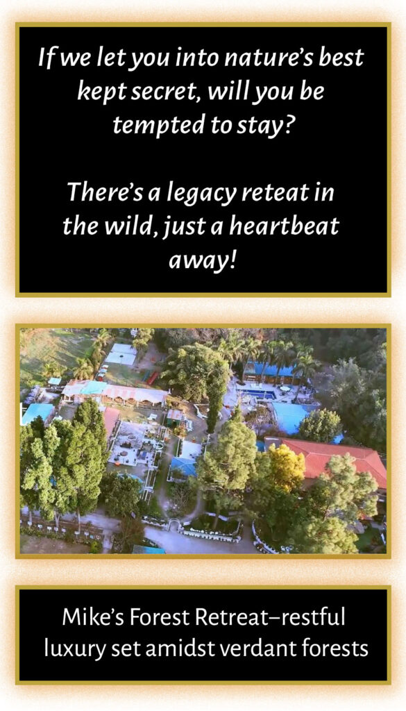If we let you into nature's best kept secret, will you be tempted to stay? There's a legacy retreat in the wild, just a heartbeat away ... Mike's Forest Retreat - restful luxury set amidst verdant forests