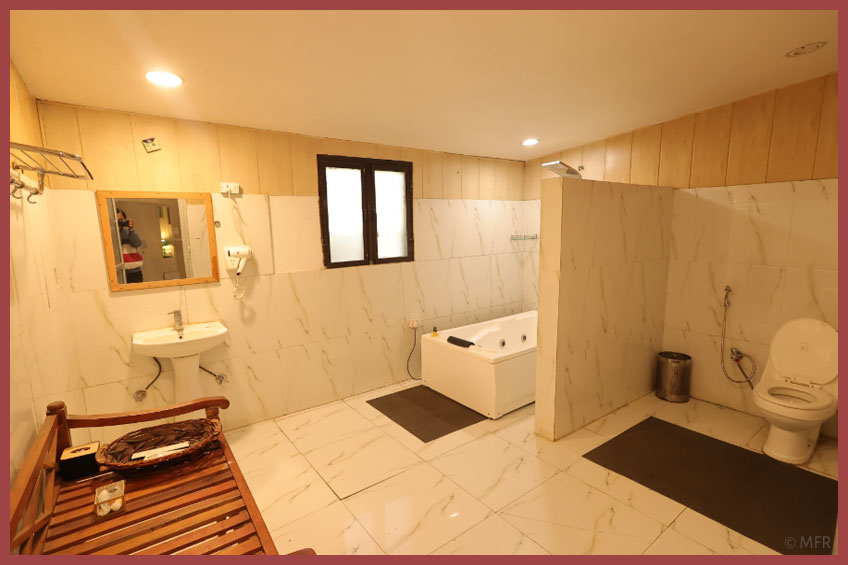 Amrapali-1 en suite bath