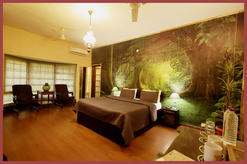 Hibiscus: A Room That Opens Into Bloom and Breeze