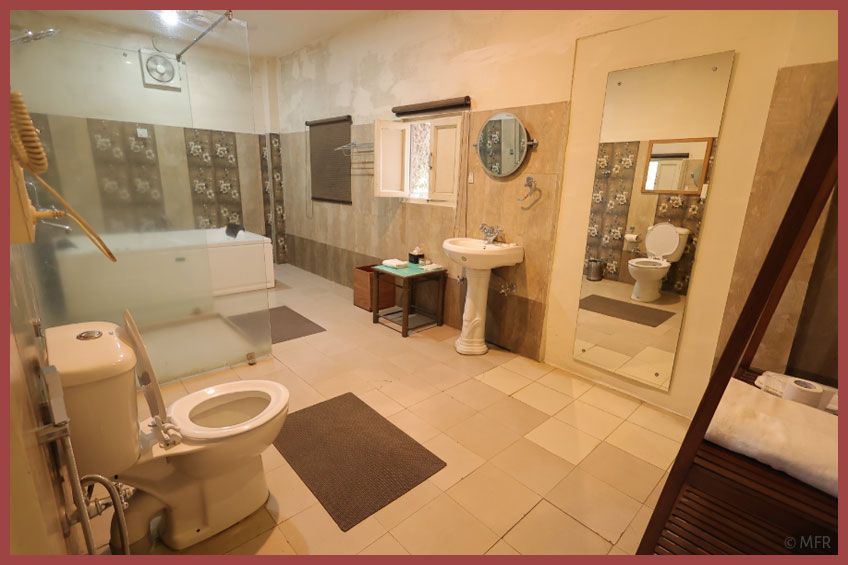 The Rudraksh Room - en suite bath