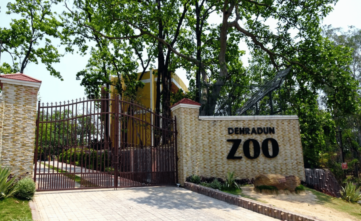 MFR Dehradun (4)